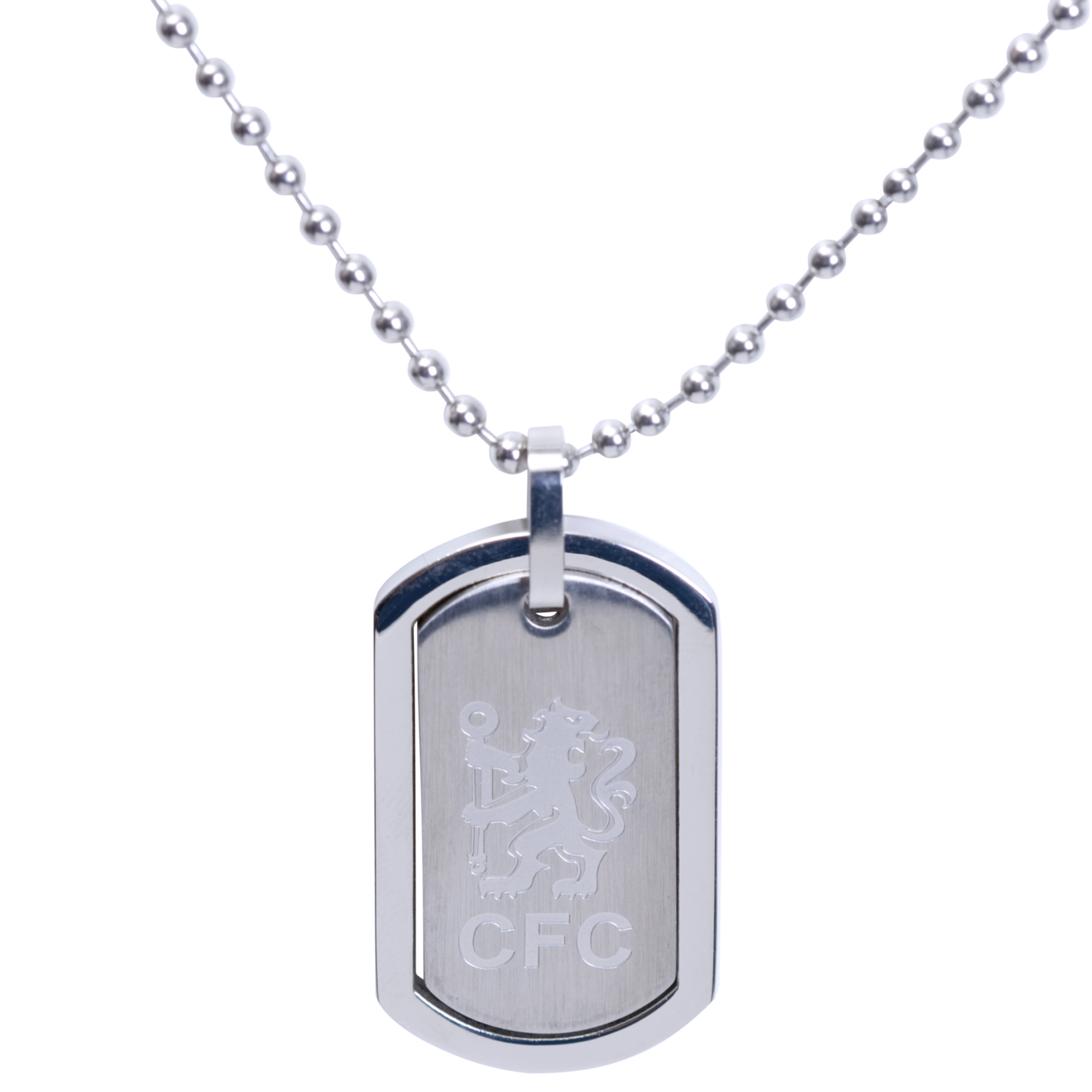 Chelsea Frame Dog Tag And Chain Stainless Steel