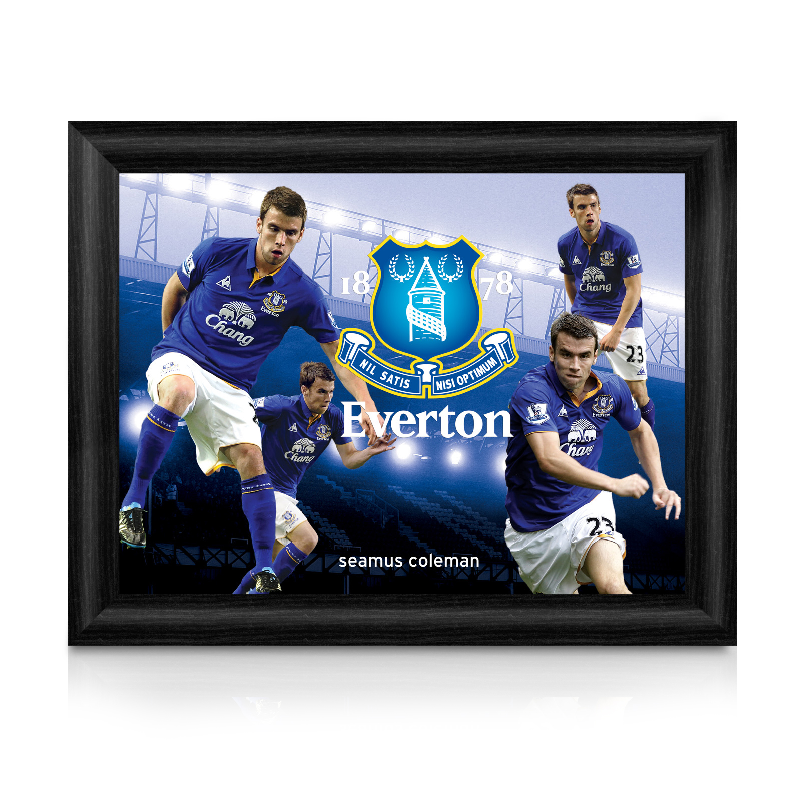 Everton Player Profile Framed Picture Seamus Coleman 16 X 12