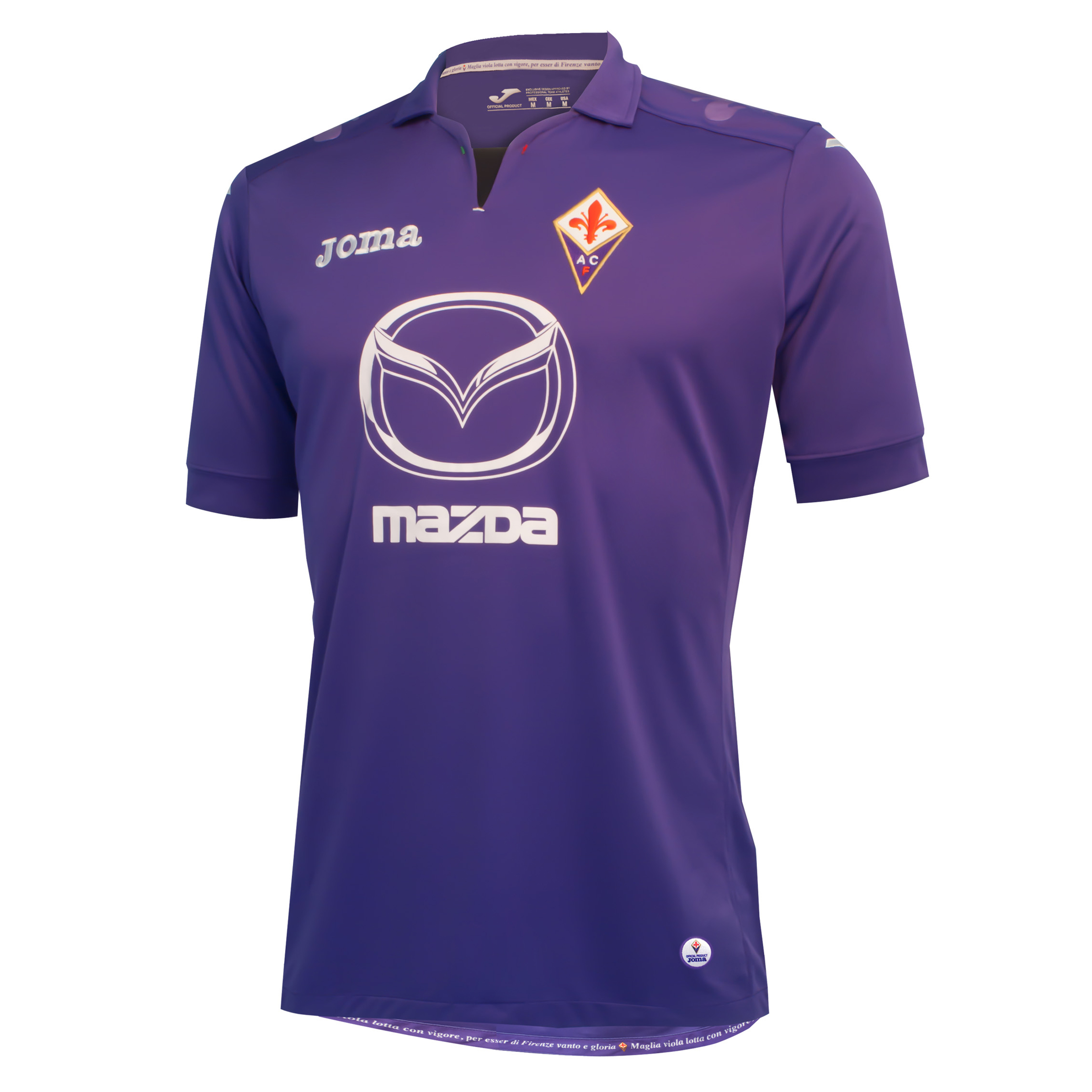 ACF Fiorentina Home Shirt 2013/14