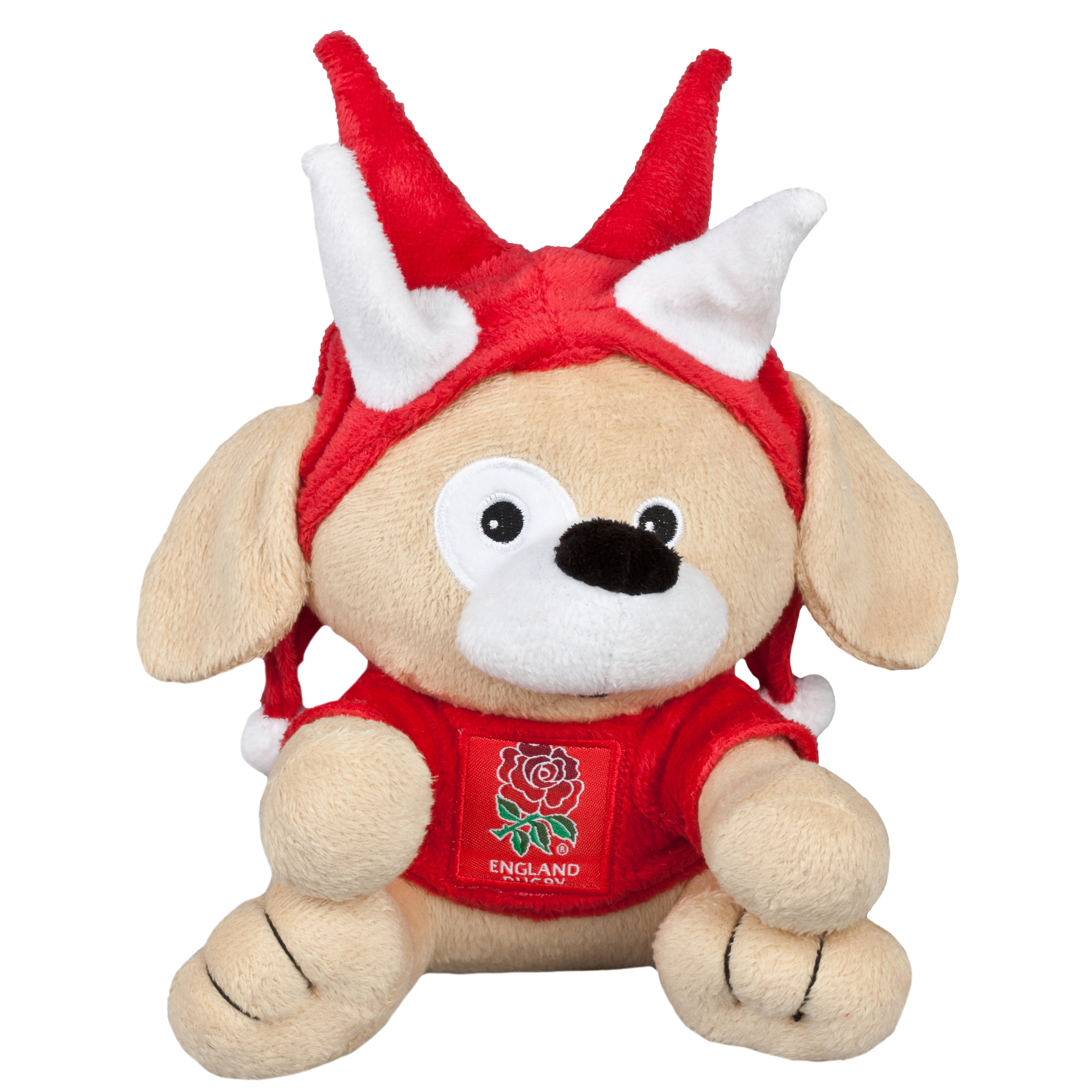 England Rugby Dog with Spiked Hat
