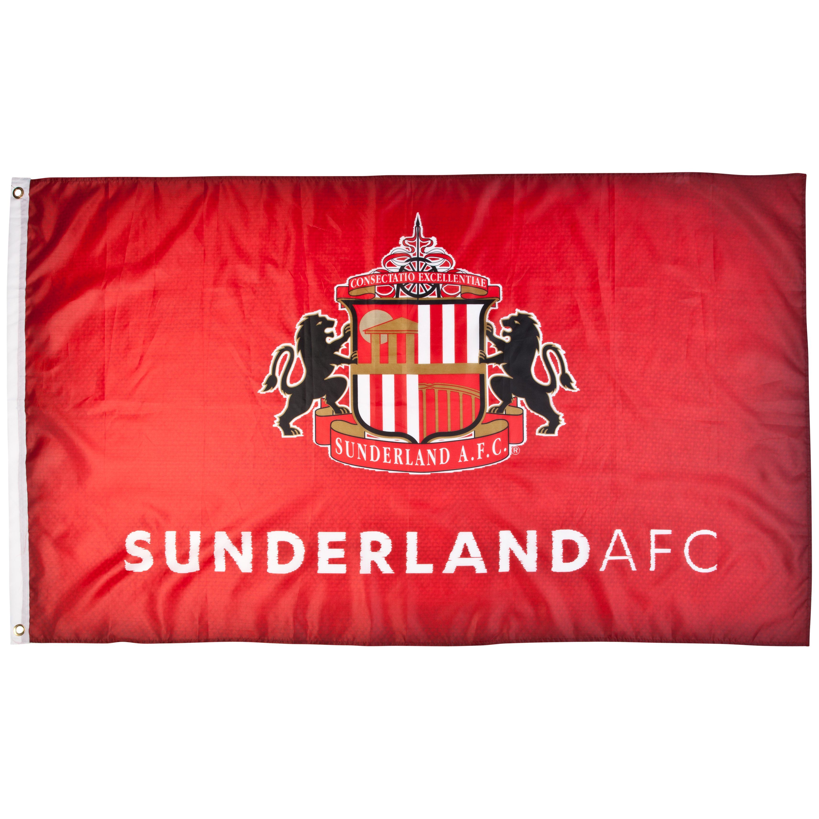 Sunderland College Crest 5x3 Flag